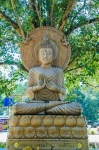 "Wat Tha Khak" In ChiangKhan,