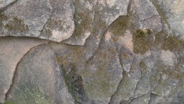 Sandstone With Lichen And Moss