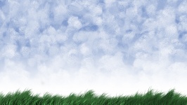 Sky And Grass