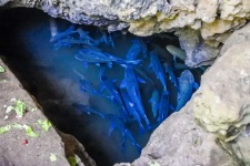 Tham Pla Fish Cave , Mae Hong Son