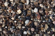 Wet Beach Pebbles Background