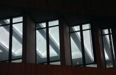 Windows Of Office Building