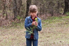 Young Girl Picking Wildflowers