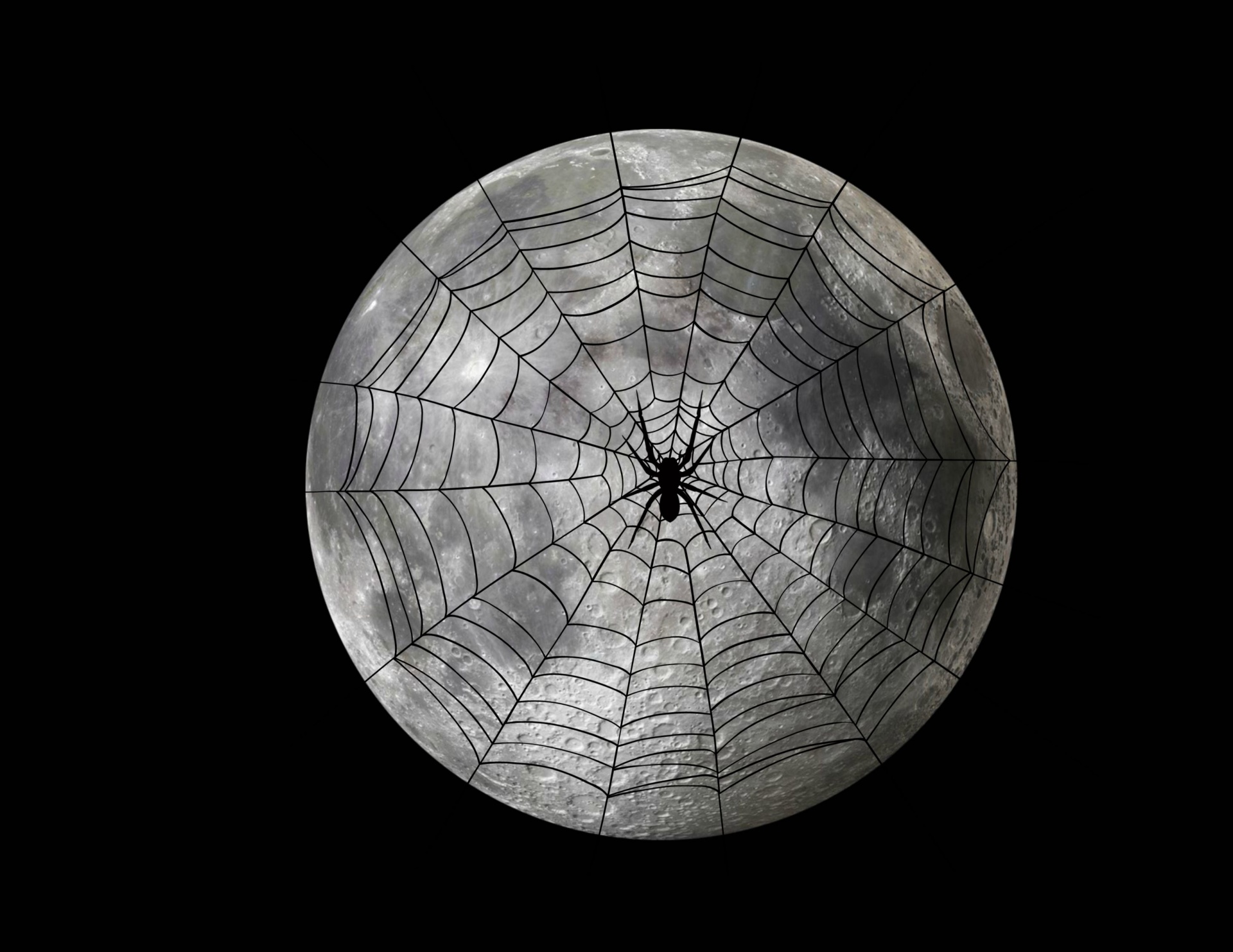 Spider Web Full Moon