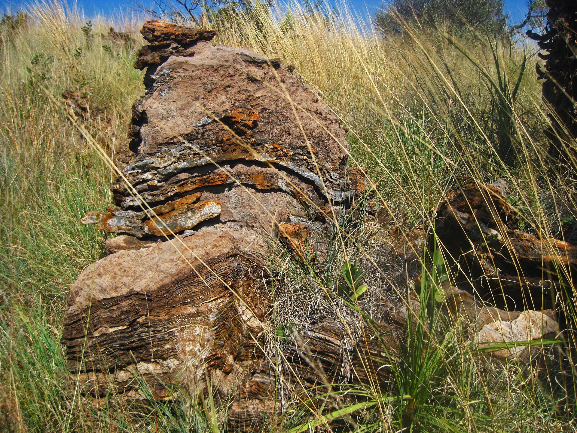 Large Brown & Rust Layered Rock