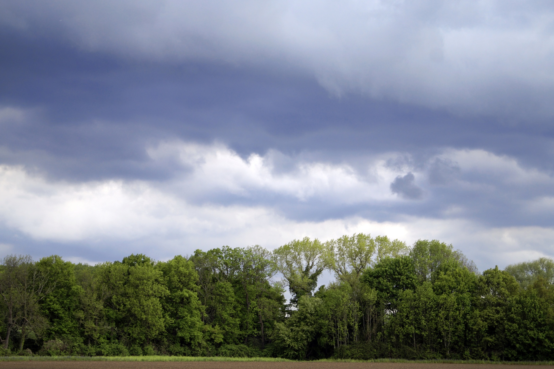 Storm trees field sky clouds field green blue gray threatening weather nature landscape background