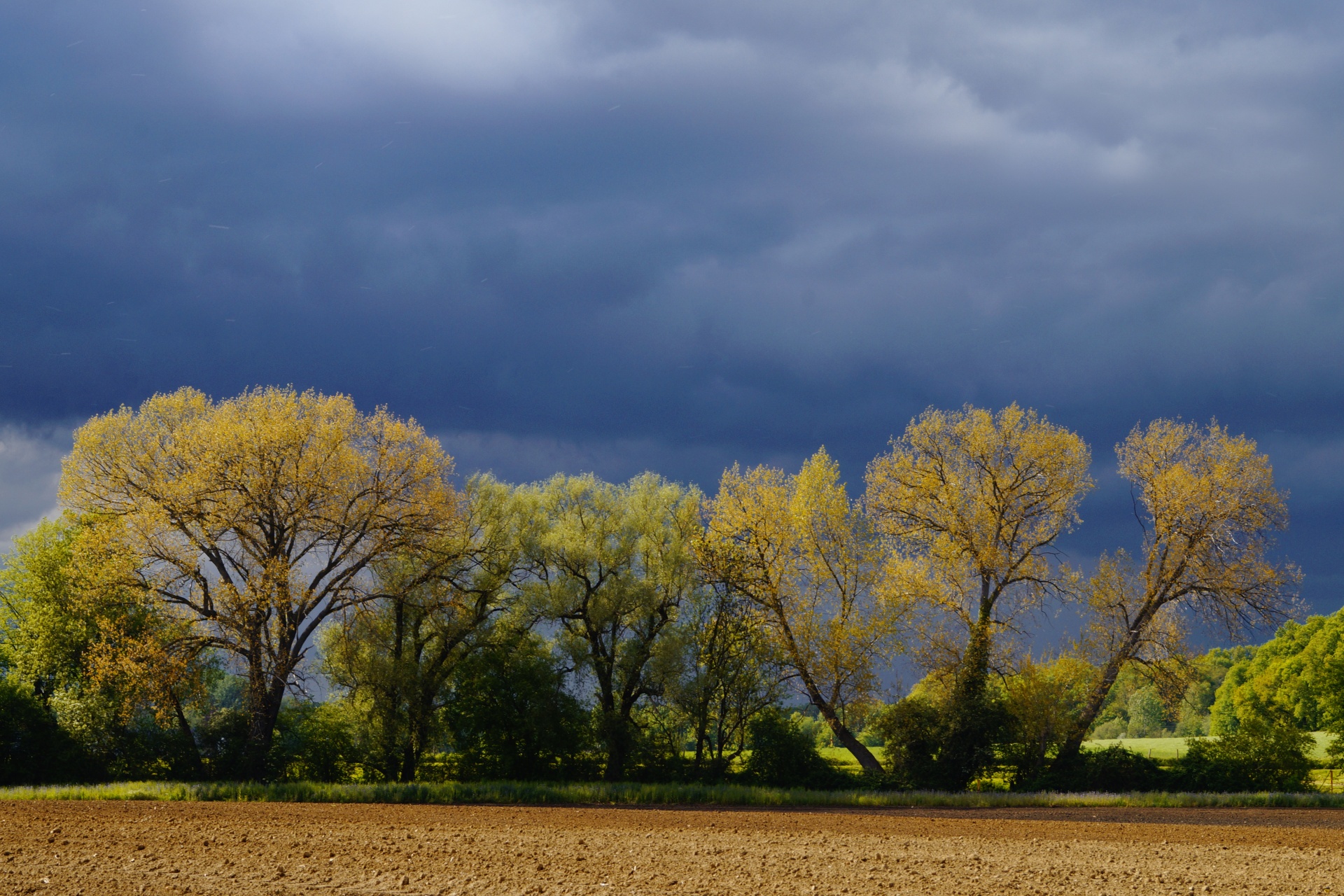 Storm Trees Field Sky