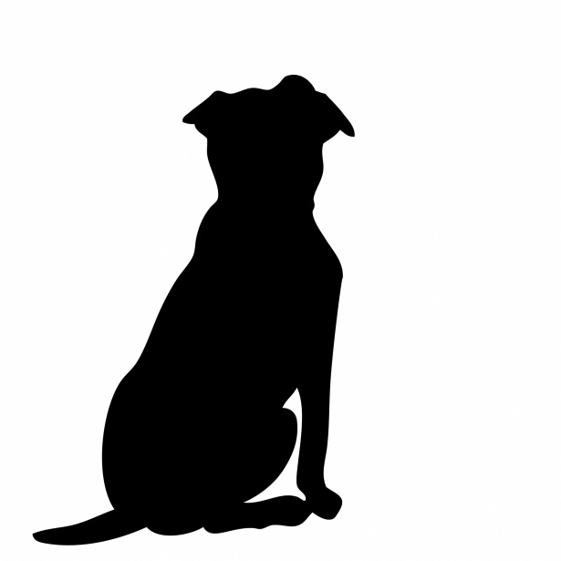 Clipart de silueta de perro Stock de Foto gratis - Public Domain Pictures