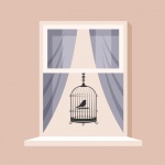 Bird Cage In Window