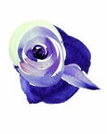 Blue Watercolor Flower