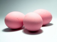 Close-up View Of Raw Chicken Eggs