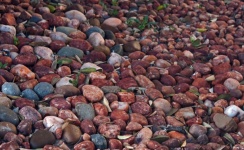 Collection Of Round Smooth Pebbles