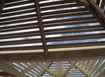 Detail Of Wooden Pergola