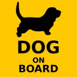 Dog On Board Sign
