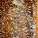 Gem Geology Crystal Texture