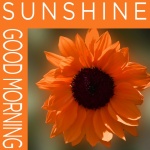 Good Morning Sunshine Poster