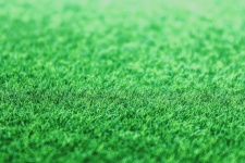 Green Grass Background Texture