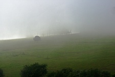 Green Meadow On A Hill In Mist