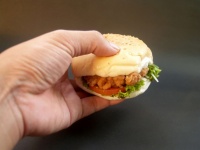 Hamburger Picture