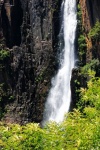 Howick Waterfall & Green Vegetation