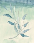 Watercolor Plant