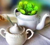 Succulent In A Teapot