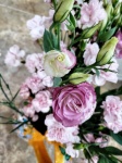 Pink Roses And Carnations