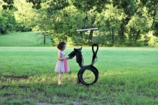 Little Girl And Horse Swing