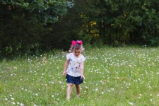 Little Girl In Wildflowers