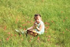 Little Girl Sitting In Wildflowers