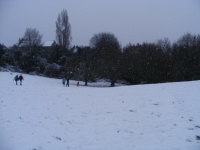 Mill Meadows In Snow