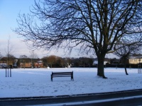 Park Bench & Tree In Snow, Sunny 1