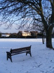 Park Bench & Tree In Snow, Sunny 2
