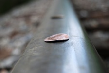 Pennies On The Tracks