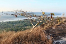 Pha Taem National Park Ubonratchathani