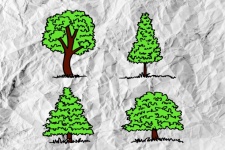 Set Of Trees With Leaves
