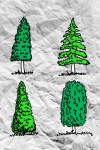 Set Of Trees With Leaves