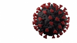 Single COVID Virus