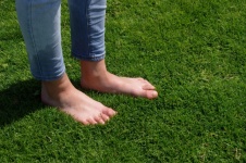 Standing Barefoot In Green Grass