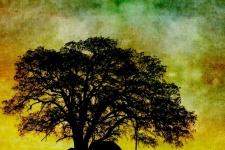 Tree Vintage Painting