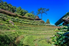 Viewpoint At Huay Nam Dang National Park