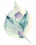 Watercolor Flower Painting