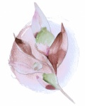 Watercolor Flower Painting