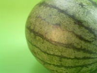 Watermelon Slice Stock Photo