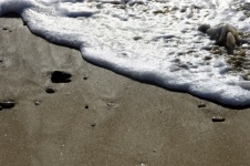White Sea Foam On Beach