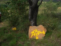 Yellow Painted Arrow On A Stone