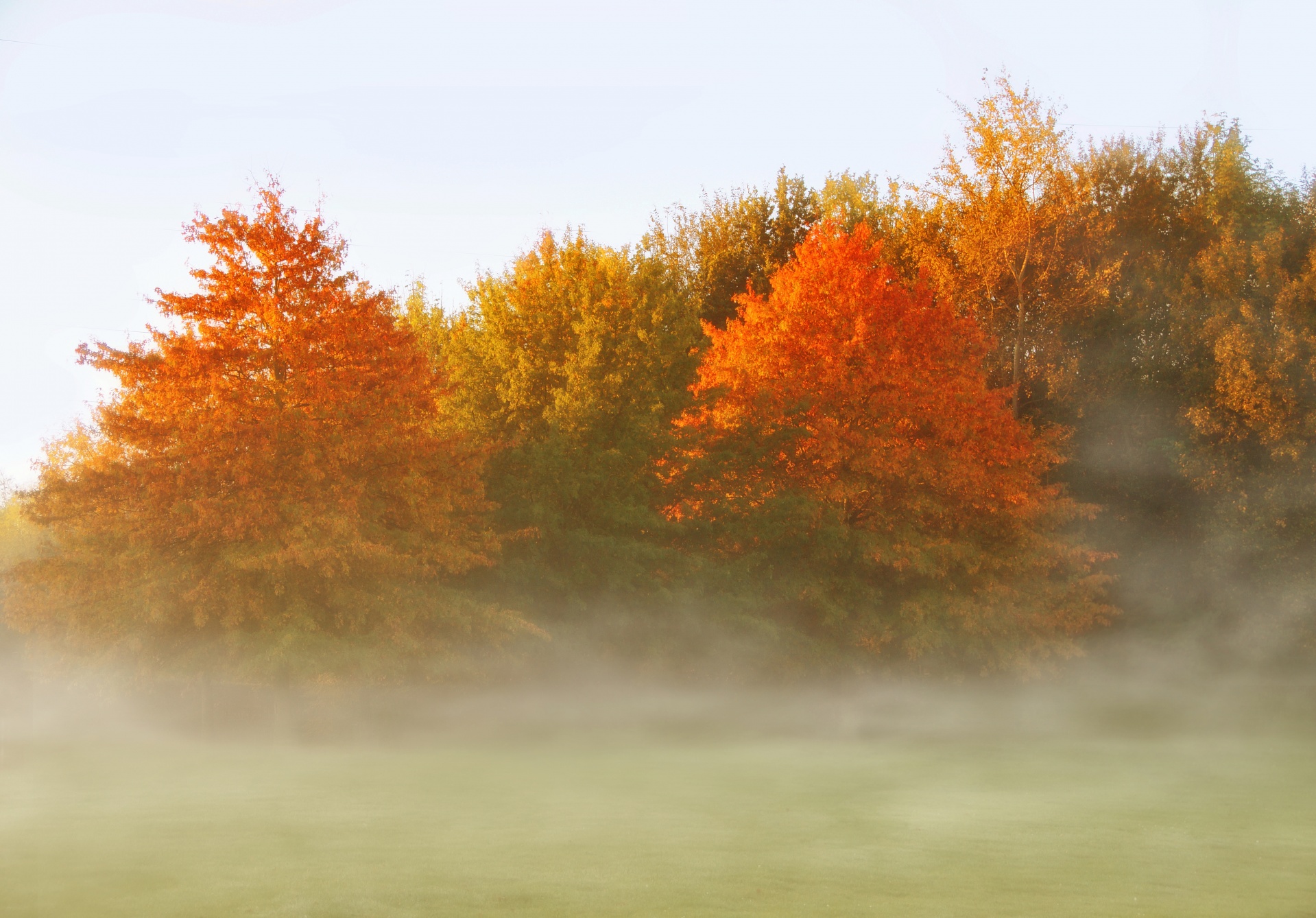 Autumn Landscape Fog Background