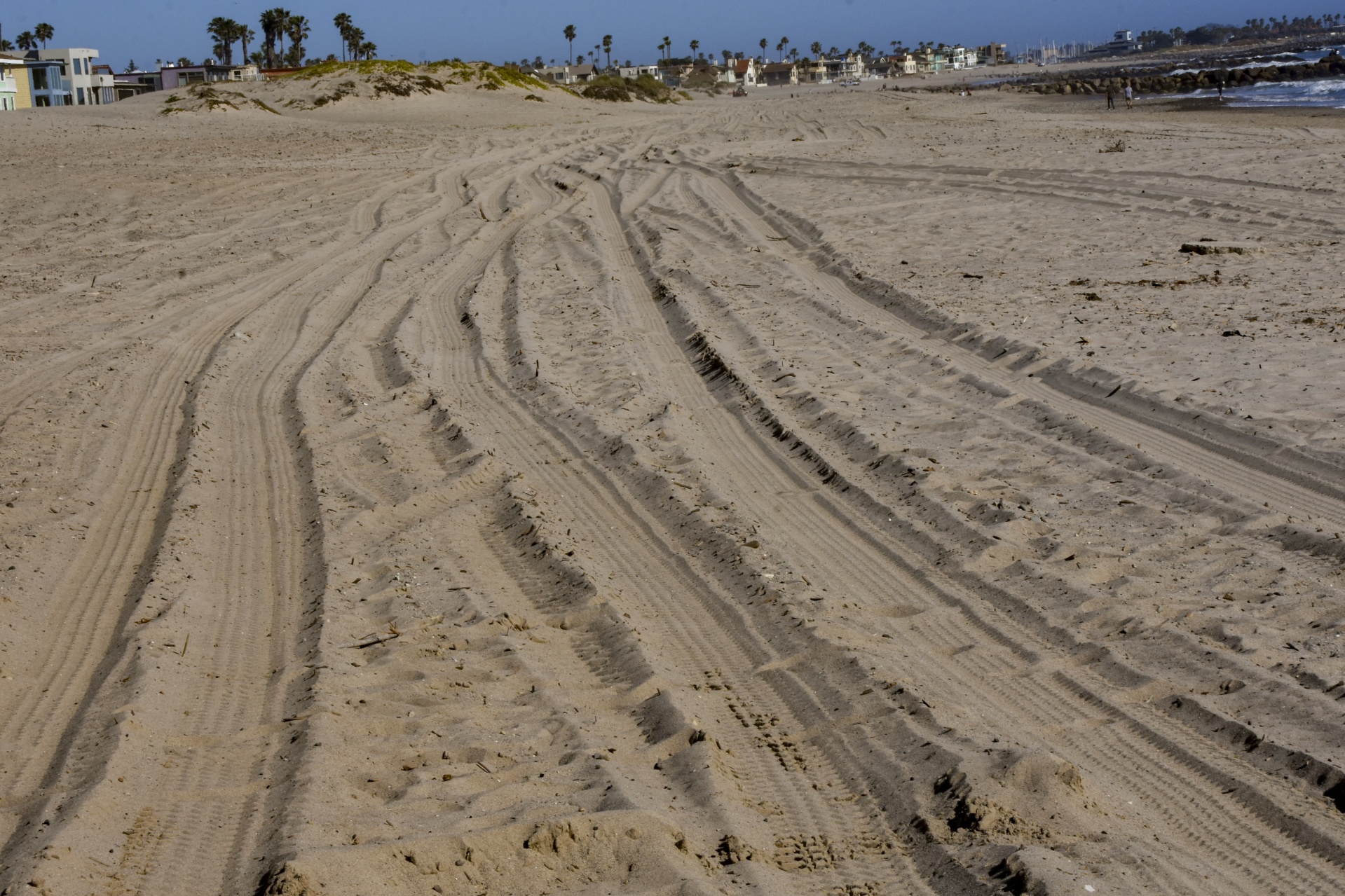 Tire Tracks In Beach Sand