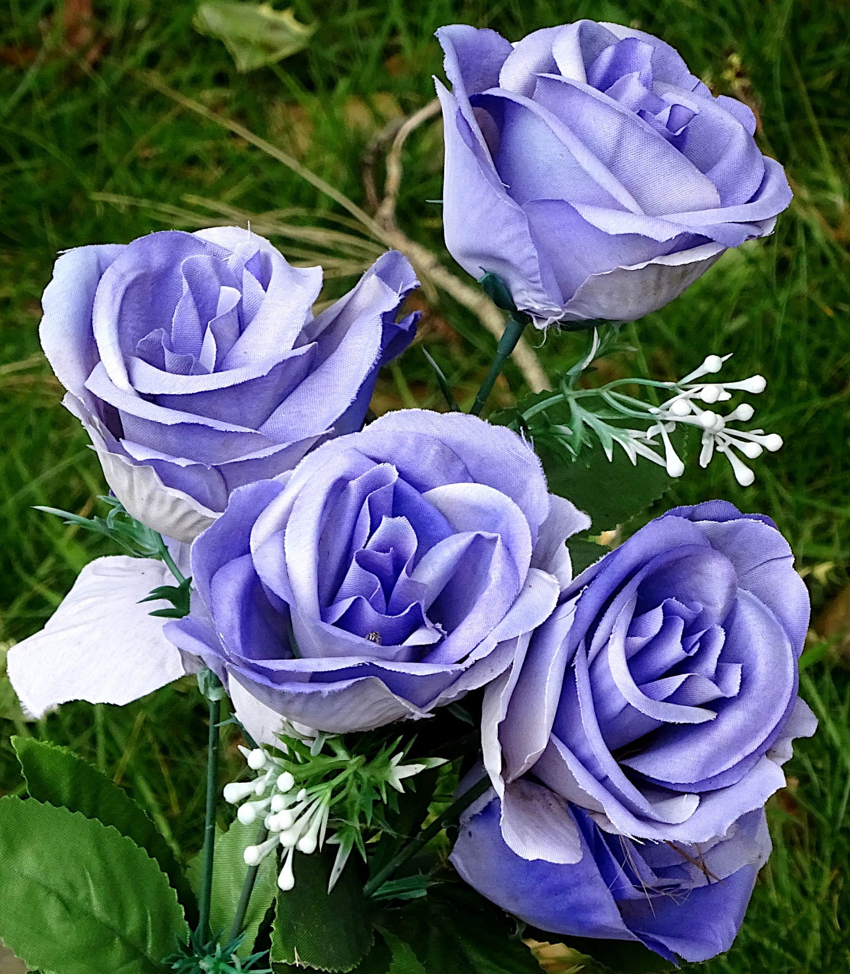 Lilac Violet Roses
