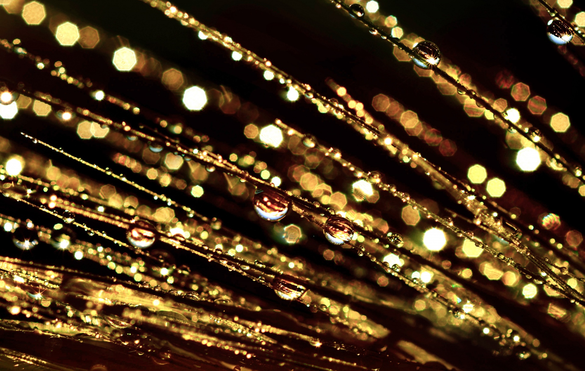 Drops Of Gold Sparkle Glitter